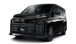 All New Voxy