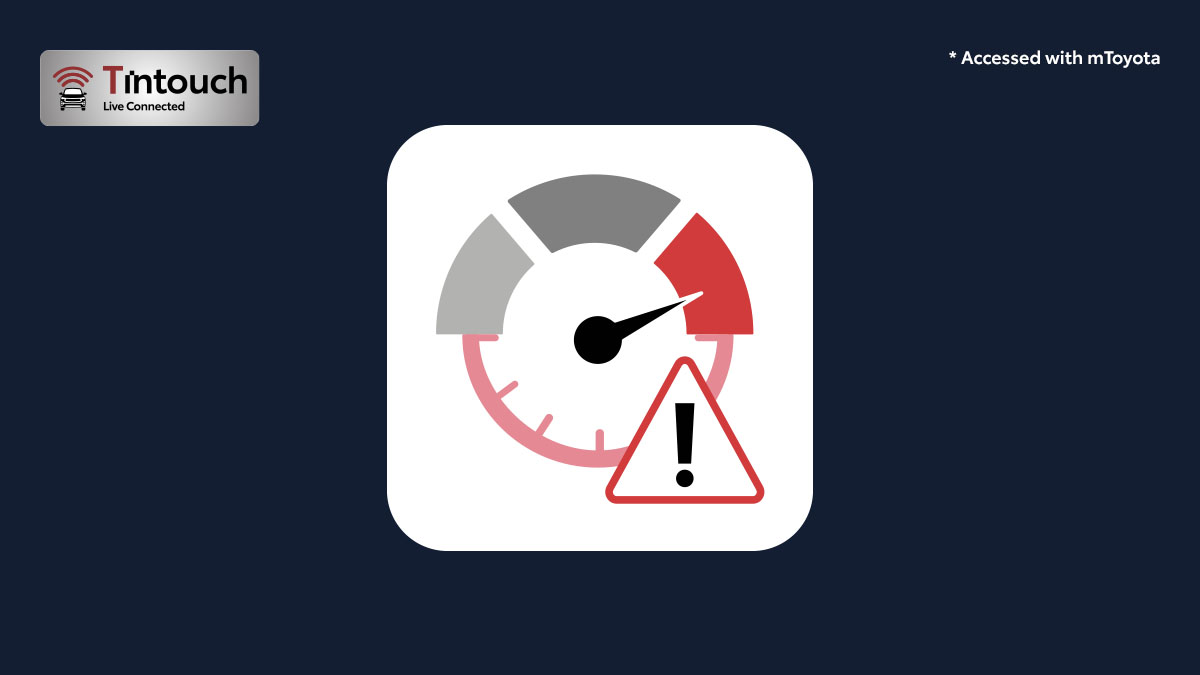 Speed & Idle Alert