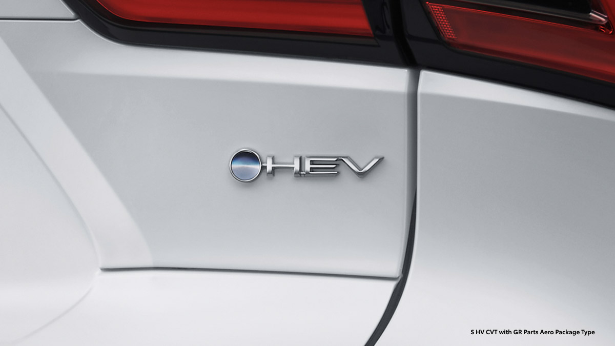 HEV - Electric Manifestation (All HV Type)