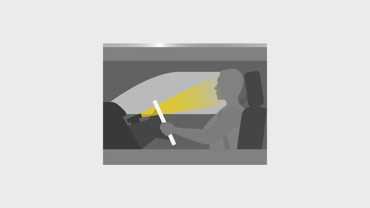 Driver Monitoring System