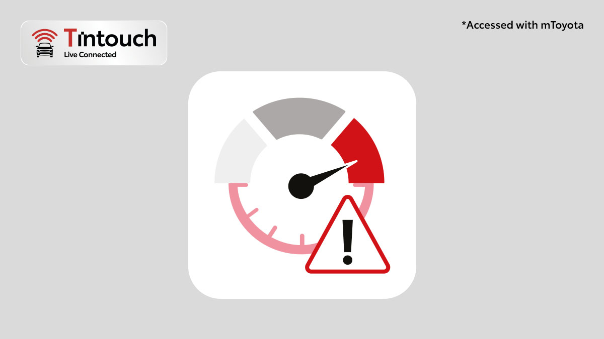 Speed & Idle Alert