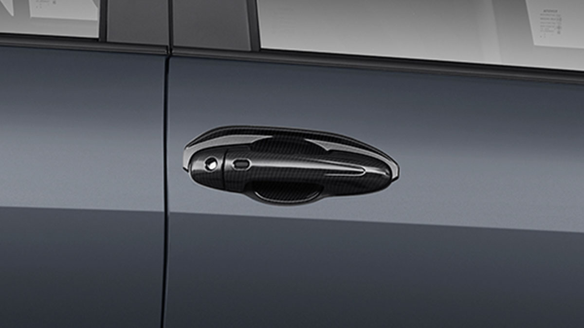 Sporty Door Handle & Housing Protector