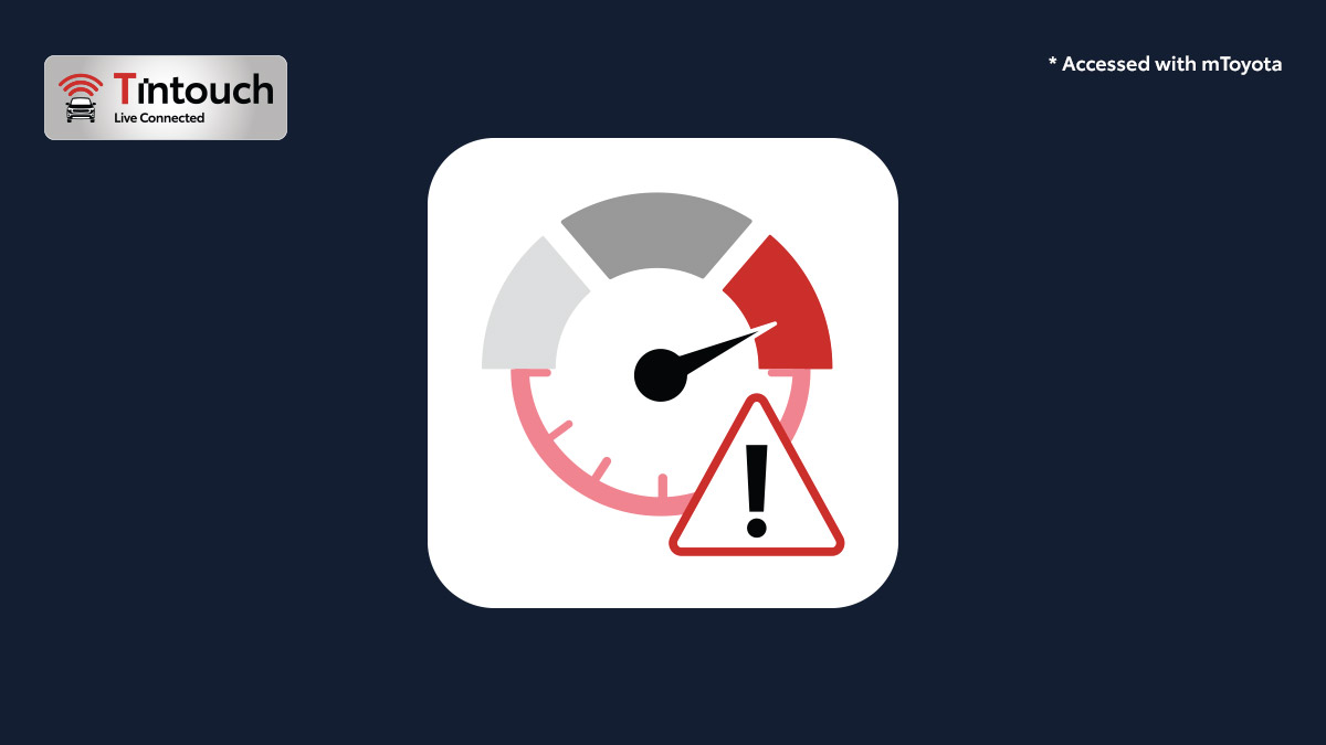 Speed & Idle Alert