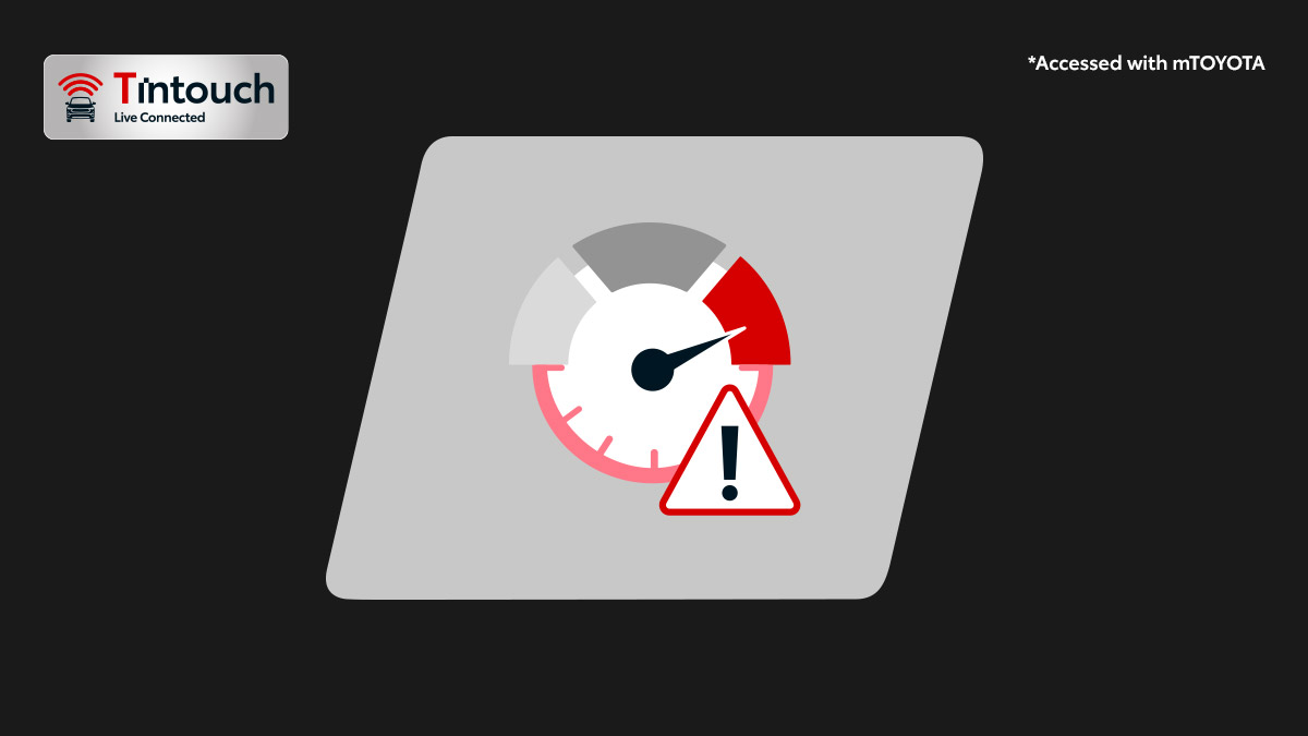 Speed & Idle Alert