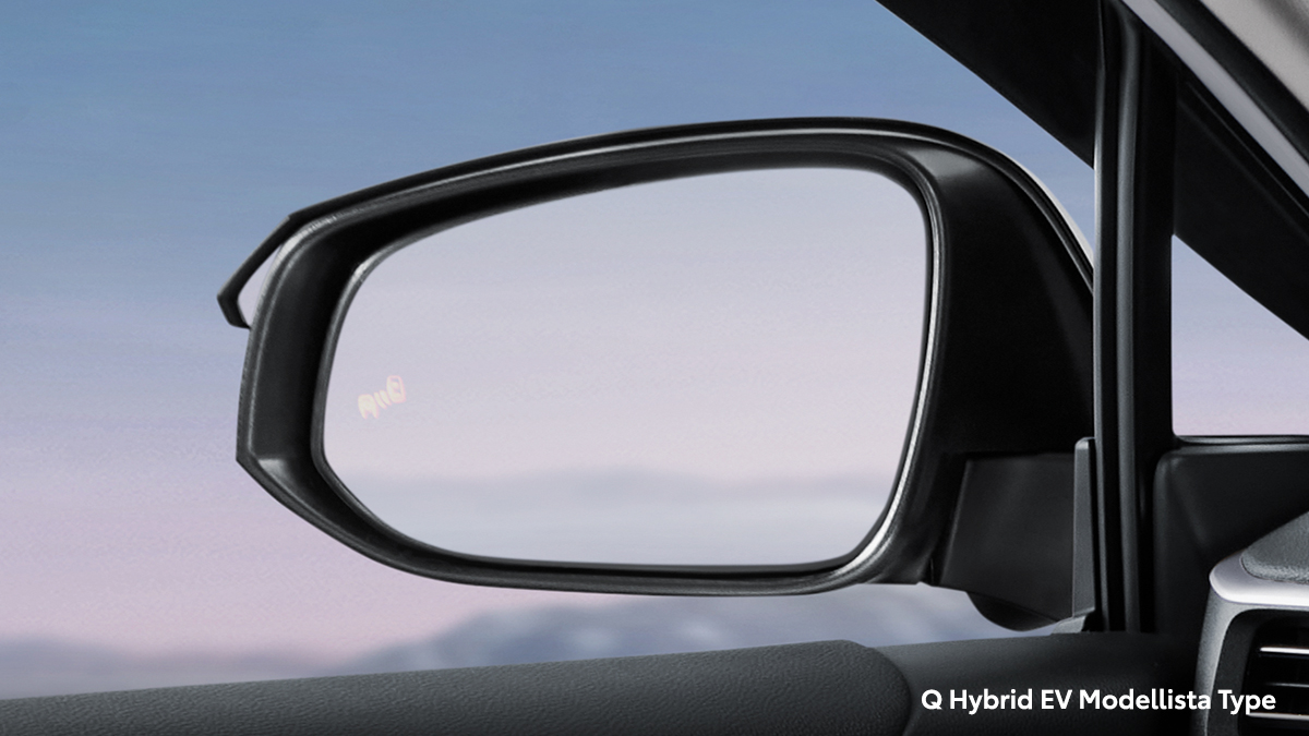 Blind Spot Monitor (BSM)