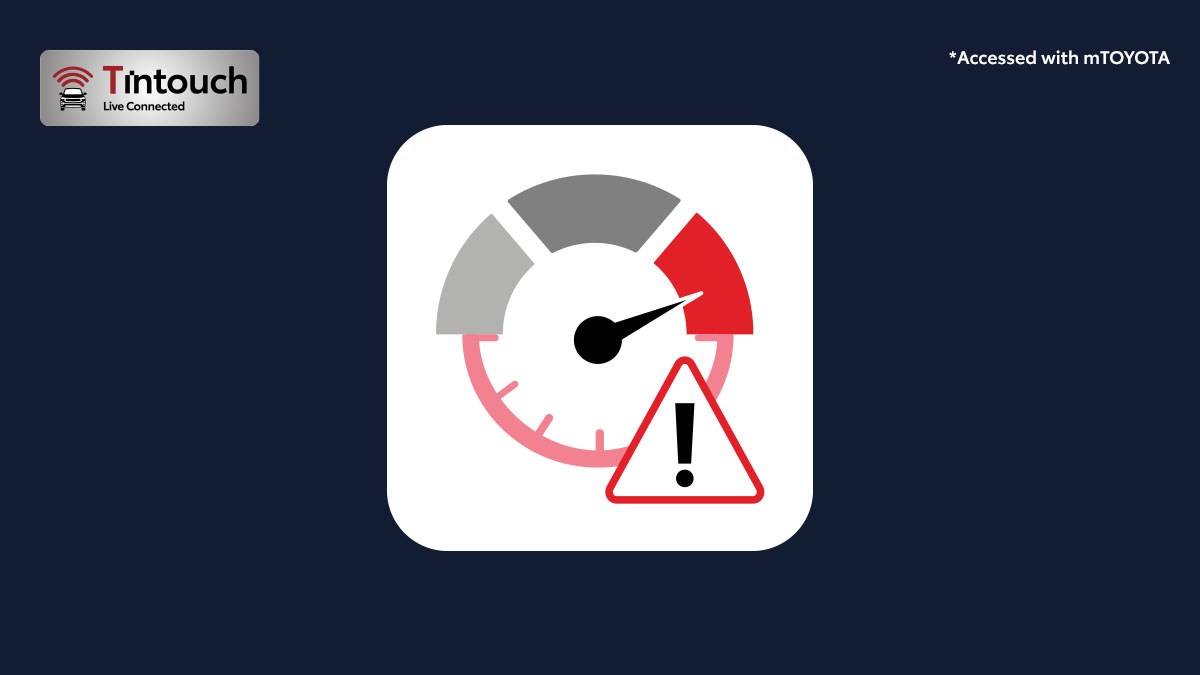 Speed & Idle Alert