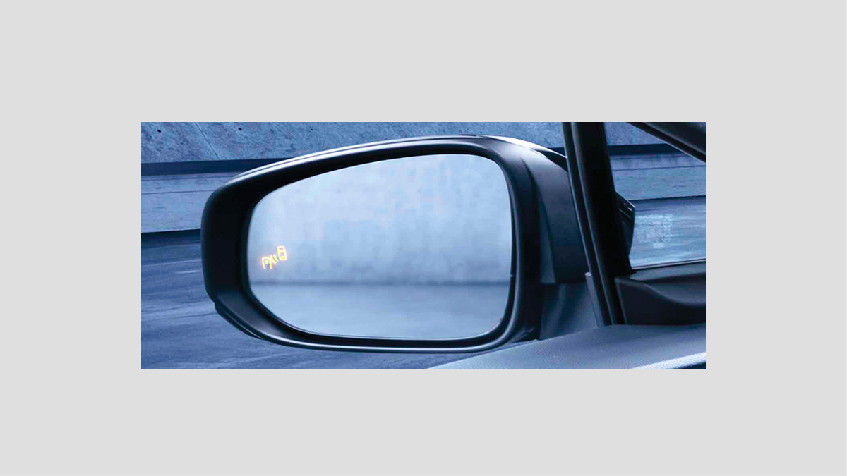 Blind Spot Monitor (BSM)