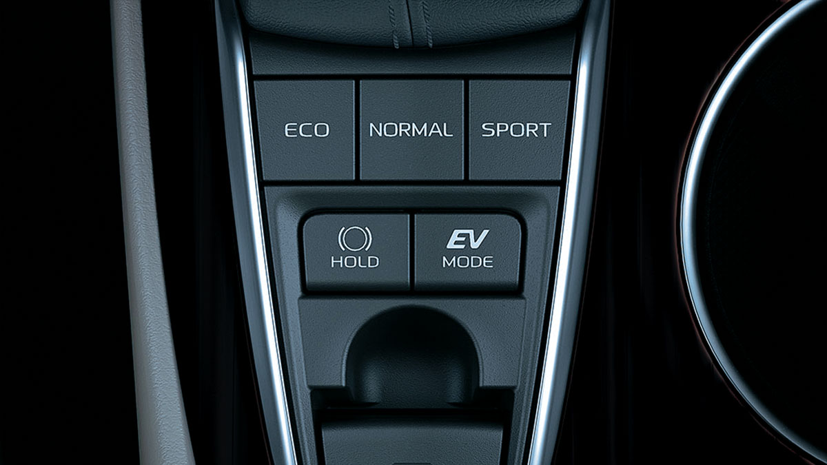 Adjustable Advanced Driving Mode