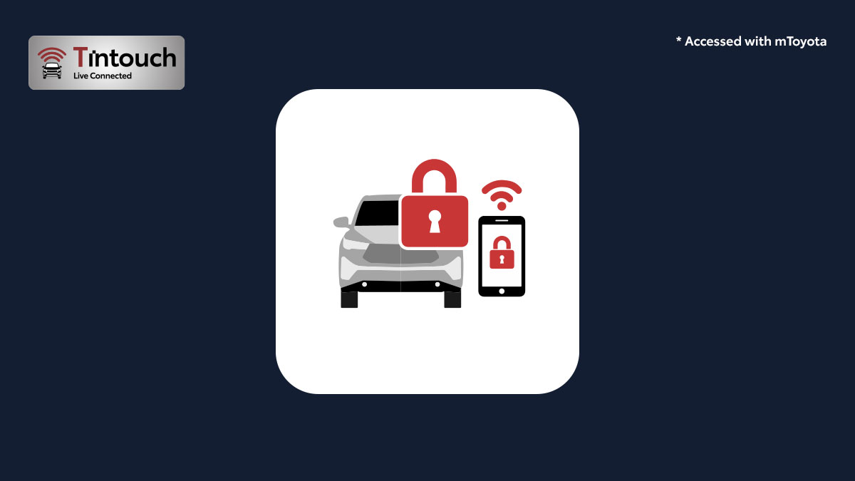 New Remote Immobilizer