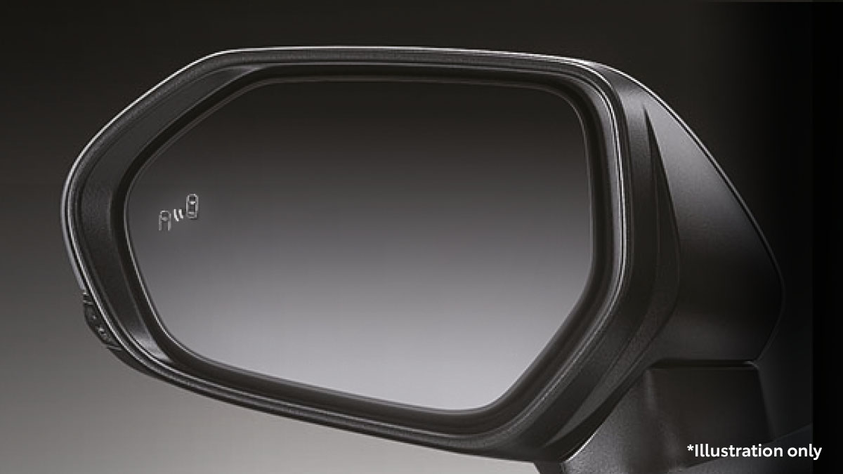 Blind Spot Monitoring