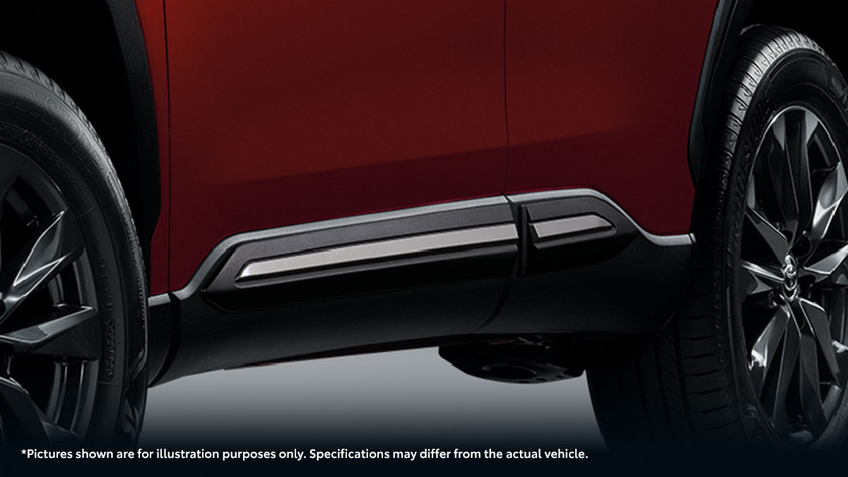 Side Molding (Gray)