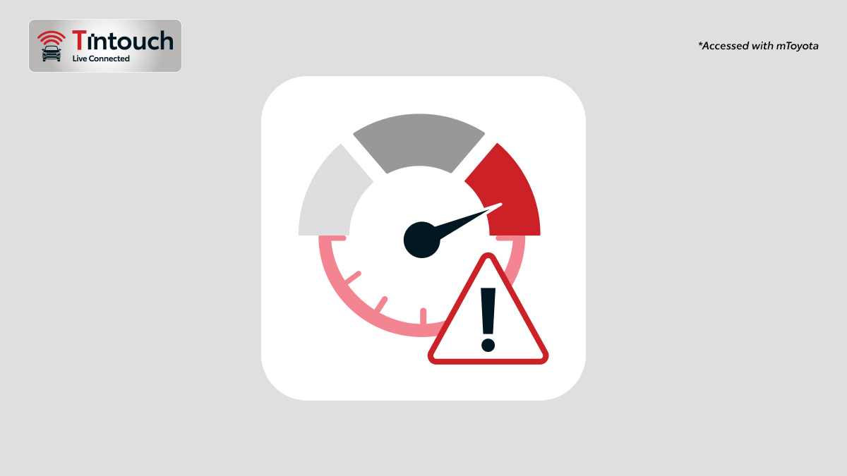 Speed & Idle Alert