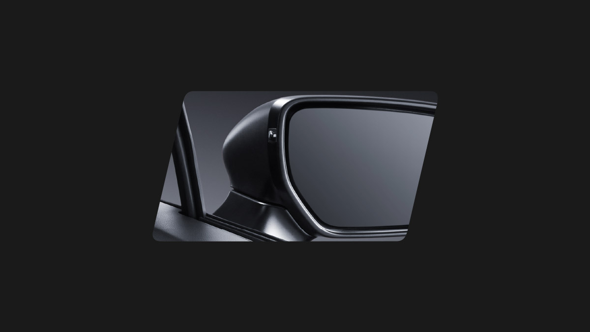 Blind Spot Monitor (BSM)