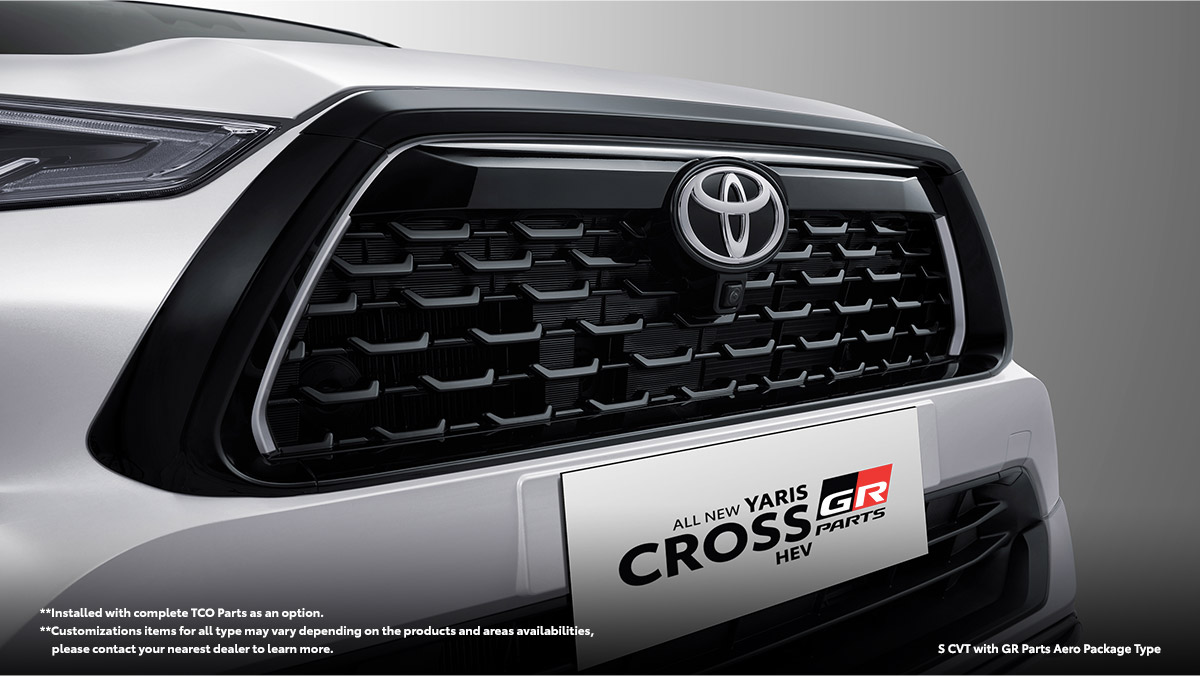 Inner Grille Sporty Ornament (Available In All Type)