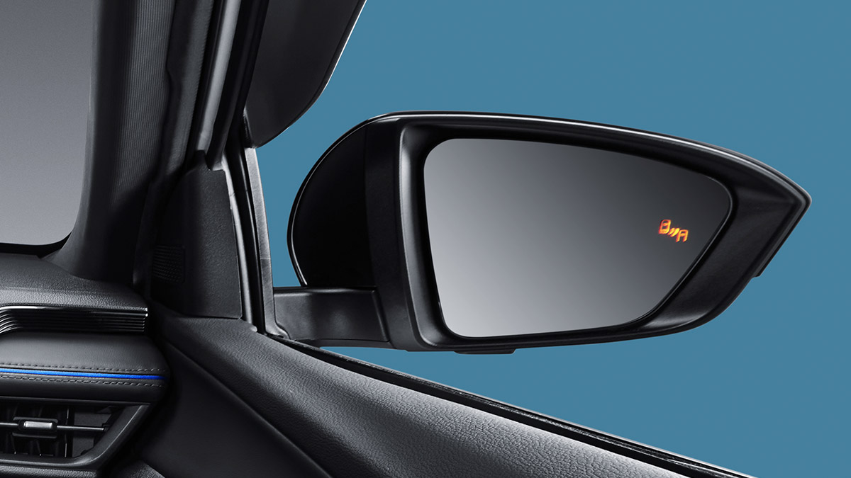 Blind Spot Monitoring (All Type)