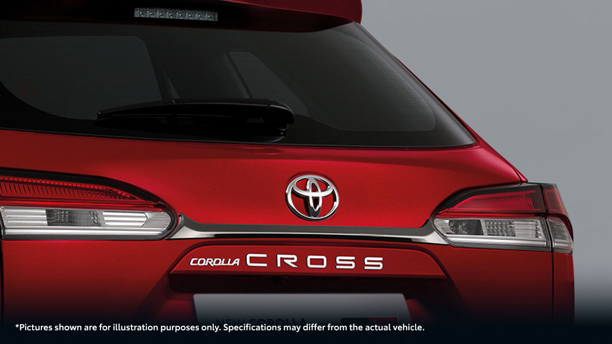 Back Door Garnish (Black Chrome)