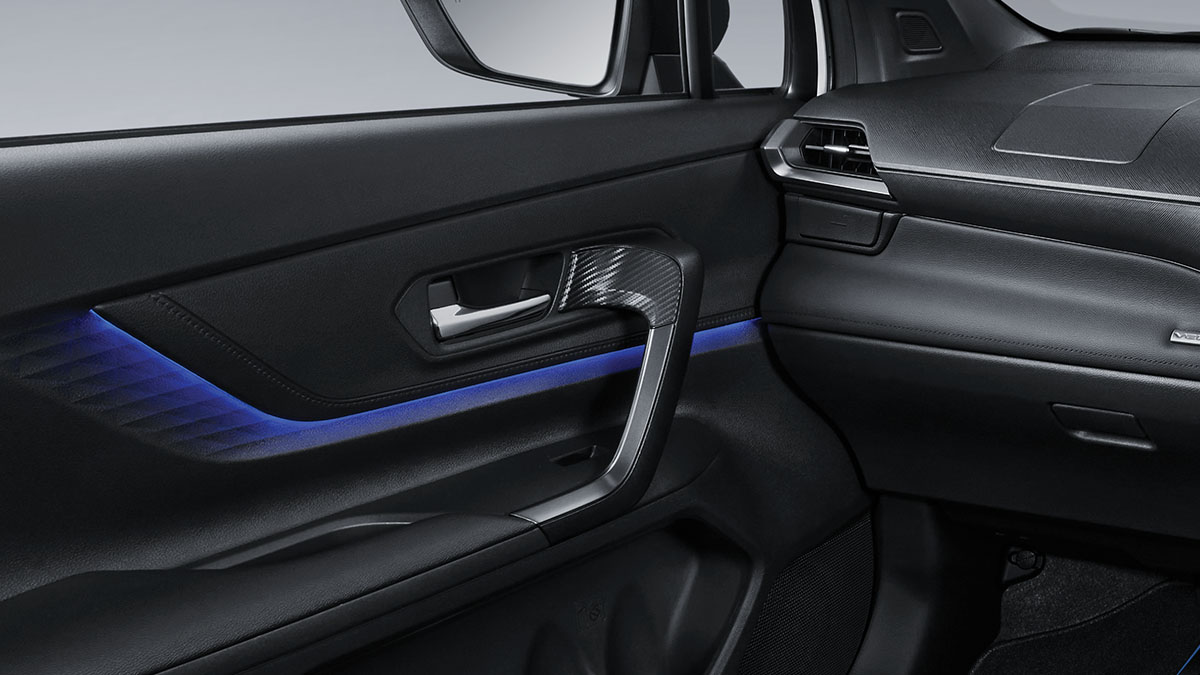 New Bold Leisure Soft Pad Door Armrest with Full Grip