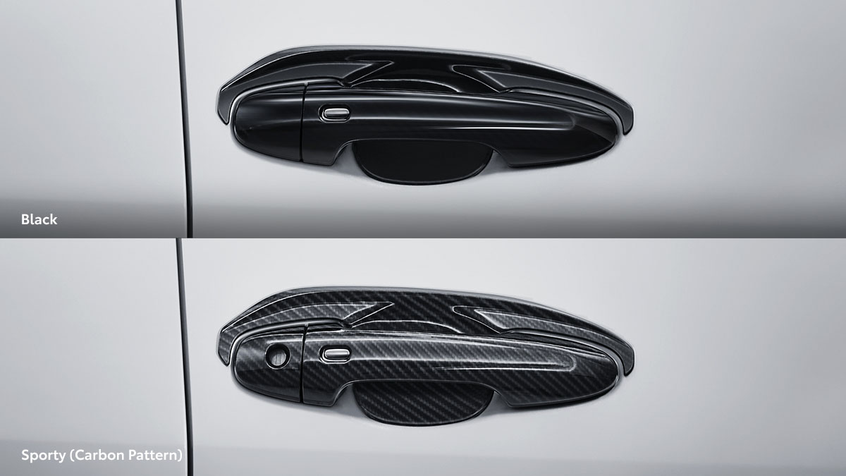 Door Handle & Housing Protector