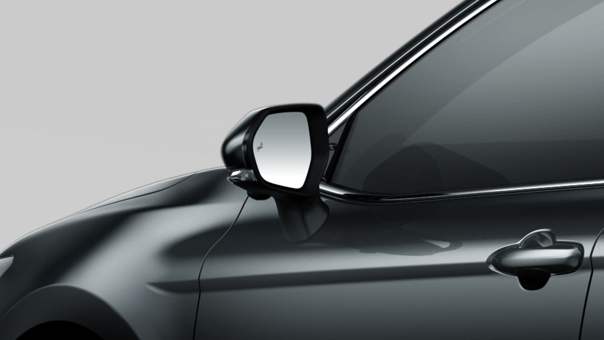 Blind Spot Monitor (BSM)