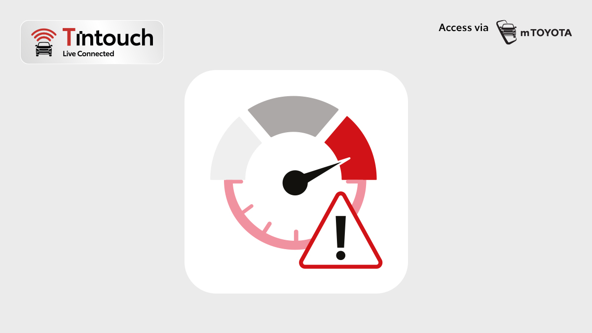 Speed & Idle Alert