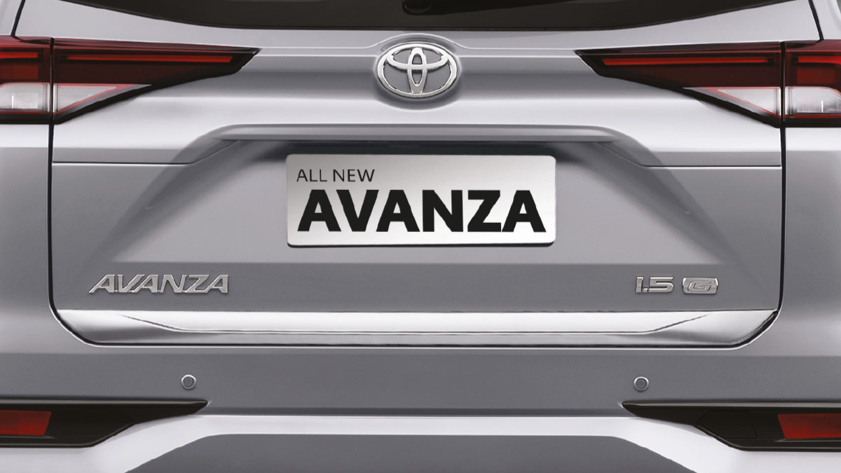 Back Door Moulding (Light Chrome)