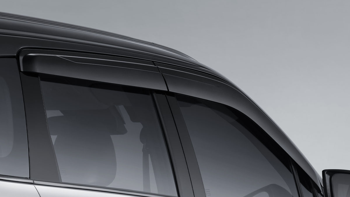 Side Visor