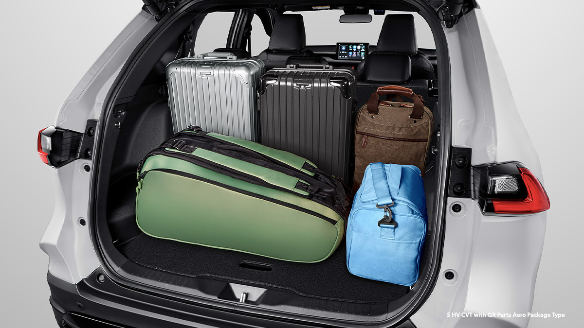 Cozy Spacious Luggage