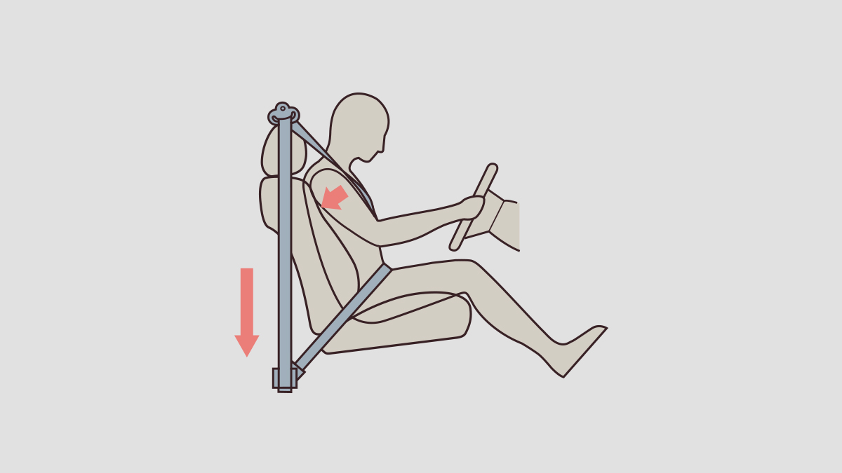 3 Point Seatbelt (All Type)