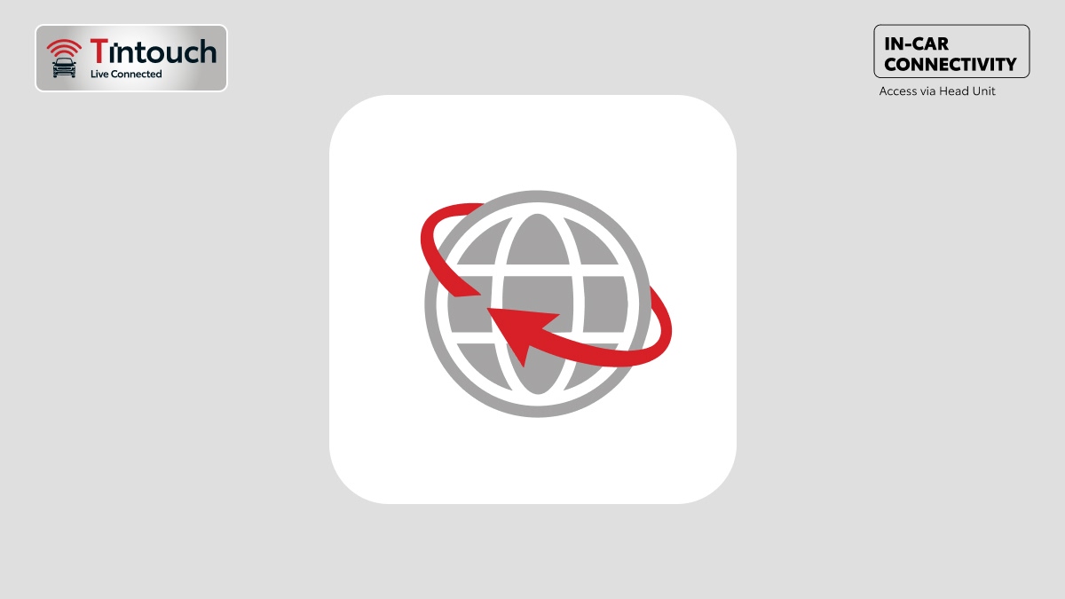 WEB Browser*