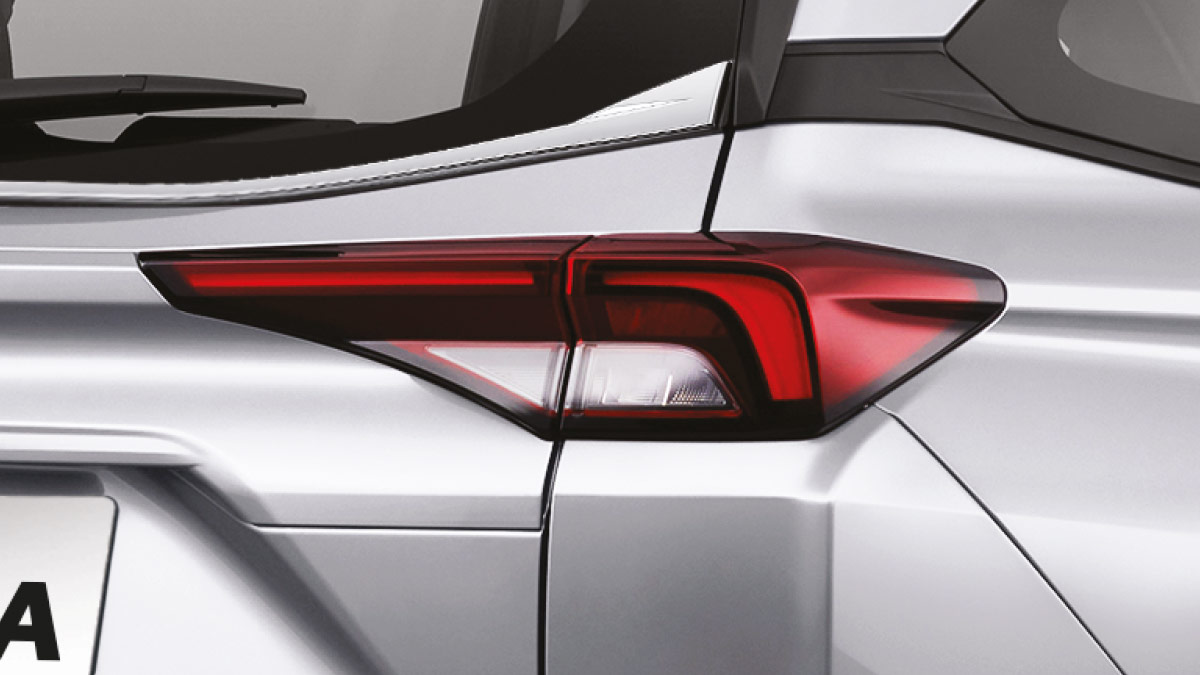 Back Door Glass Chrome Ornament