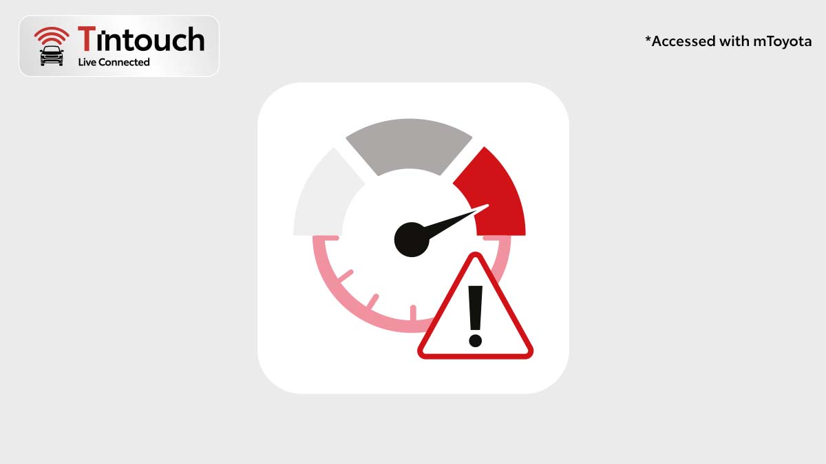 Speed & Idle Alert