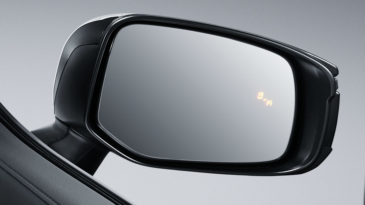 Blind Spot Monitor