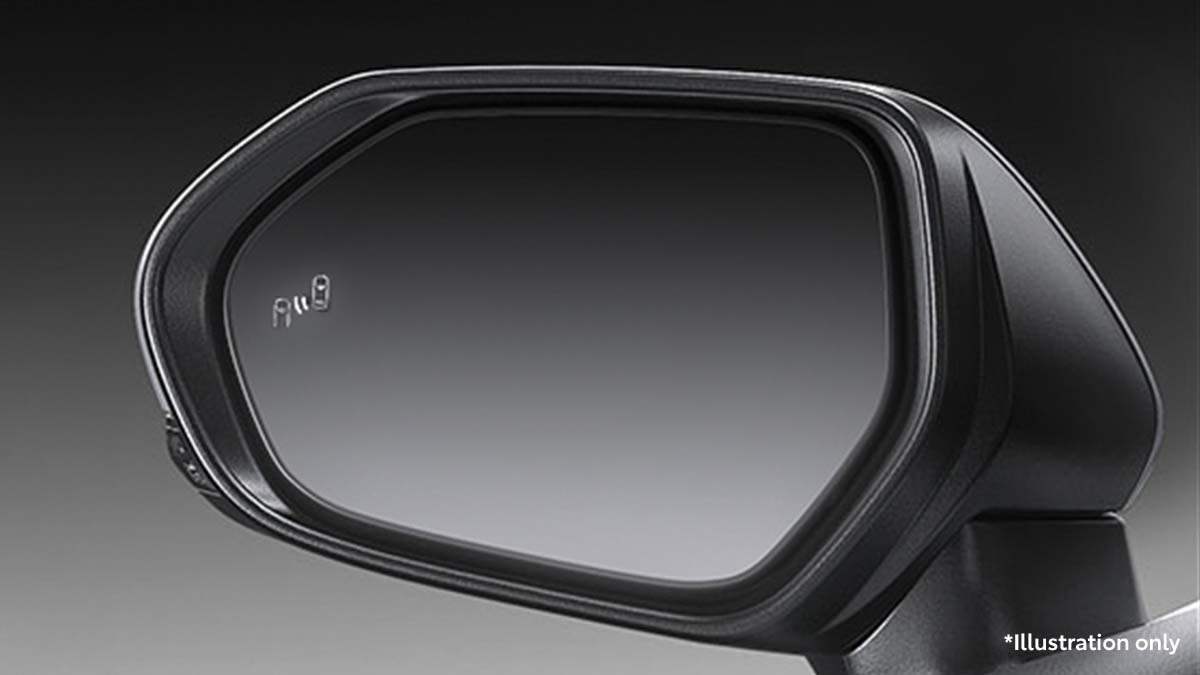 Blind Spot Monitoring