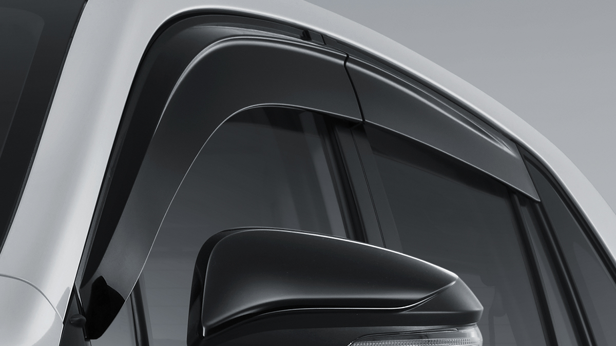 Side Visor