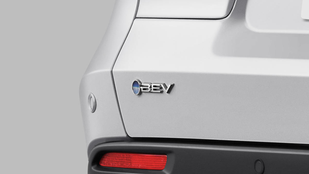 Battery Warranty for 8 years/160.000 km & Free EV Battery Health Check*