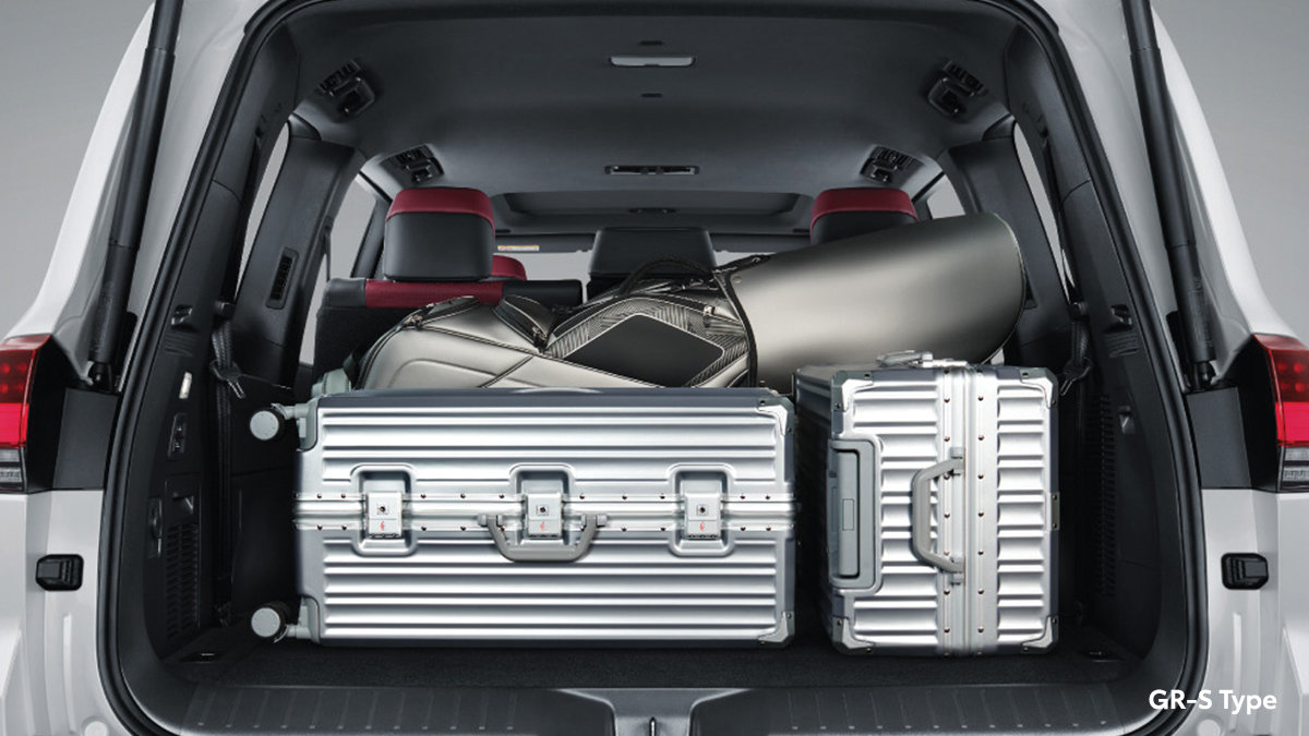 Expansive Luggage Room
