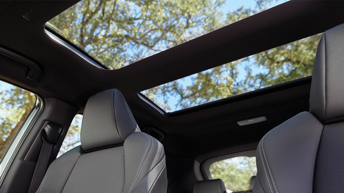 Panoramic Roof