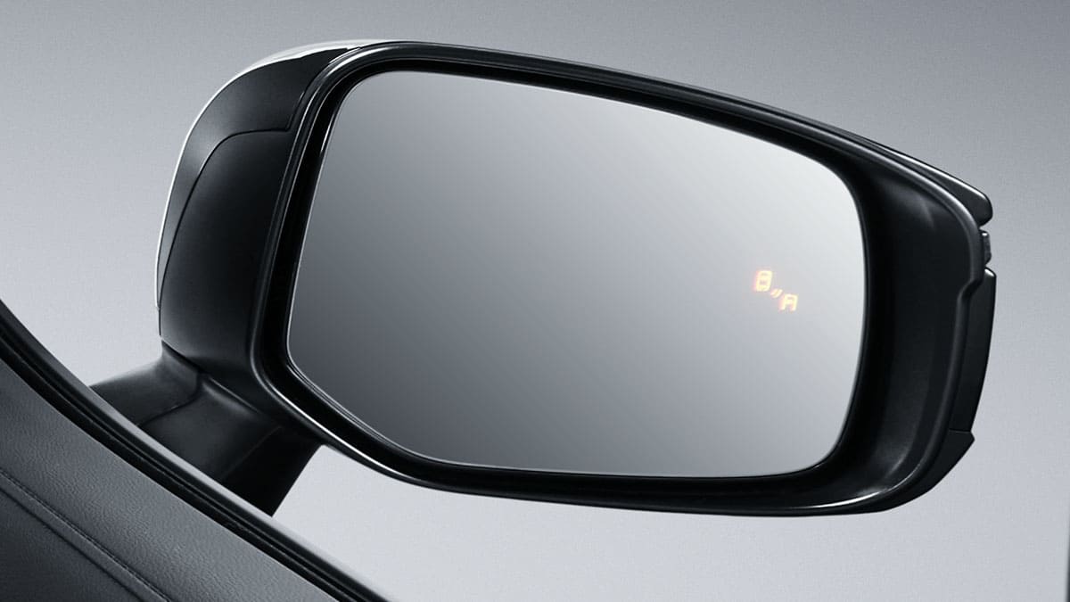 Blind Spot Monitor