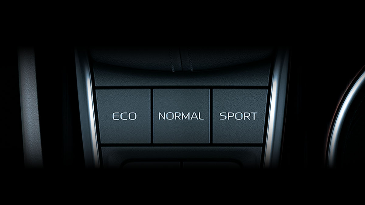 Adjustable Advanced Driving Mode