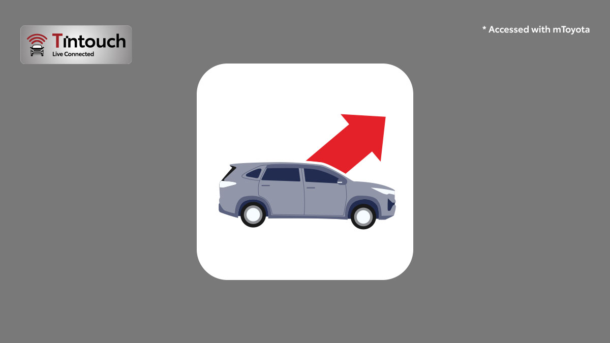 Trip Driving Update