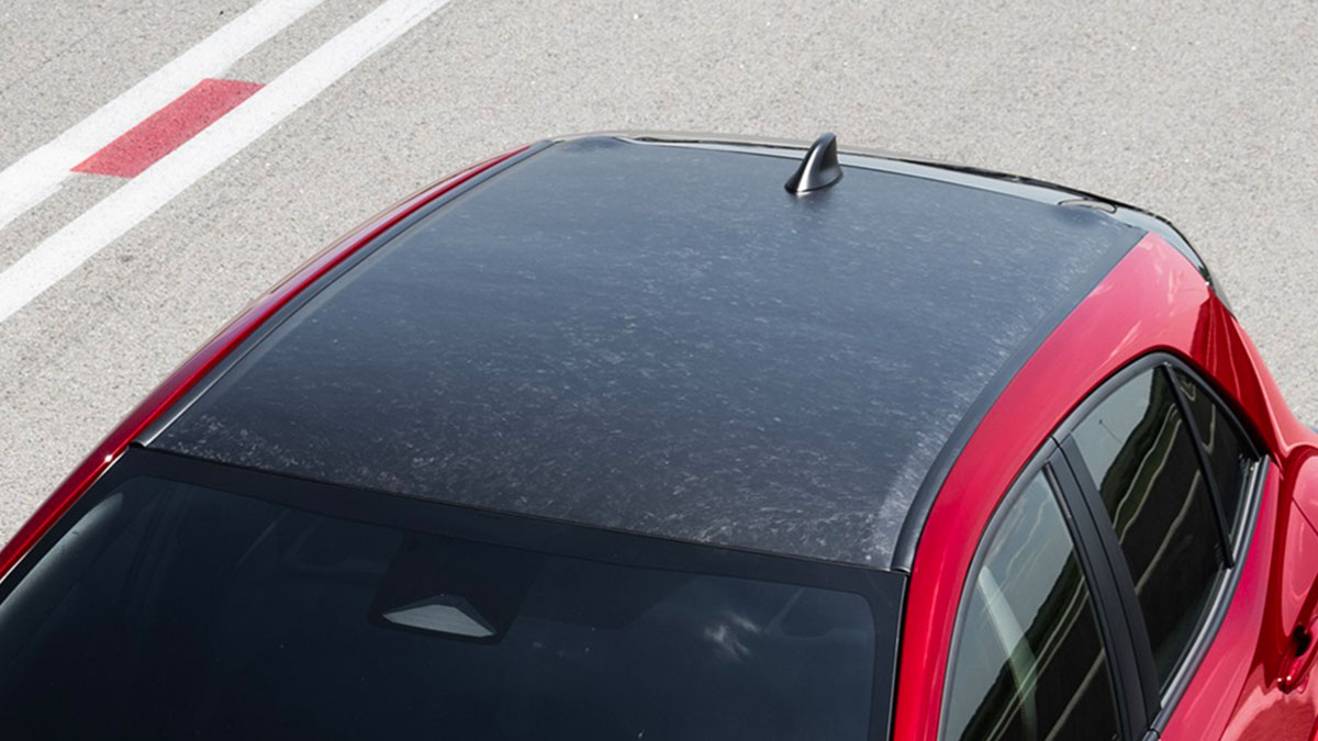 Carbon Roof