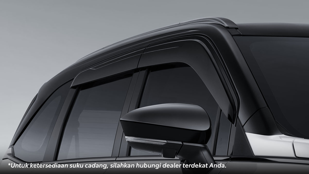 Side Visor