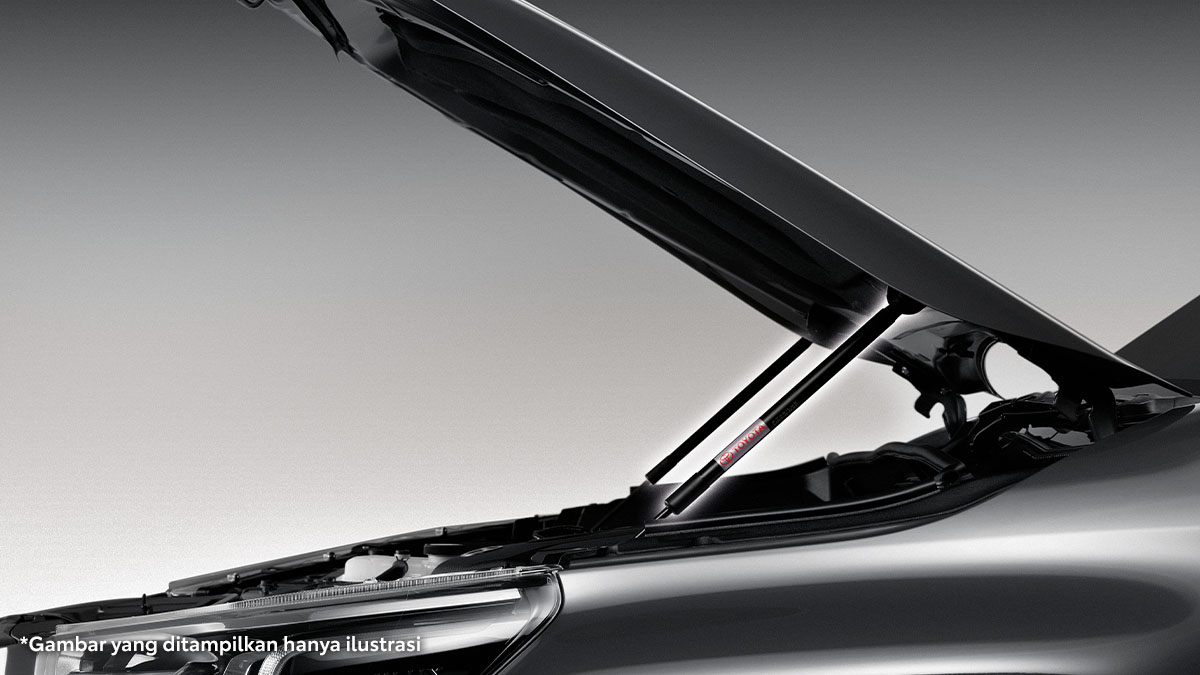 Engine Hood Lift Assist