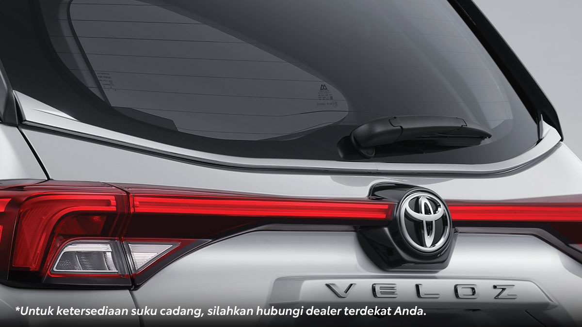 Backdoor Glass Chrome Ornament