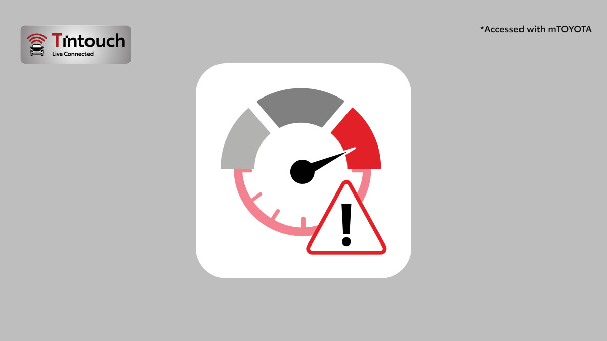 Speed & Idle Alert