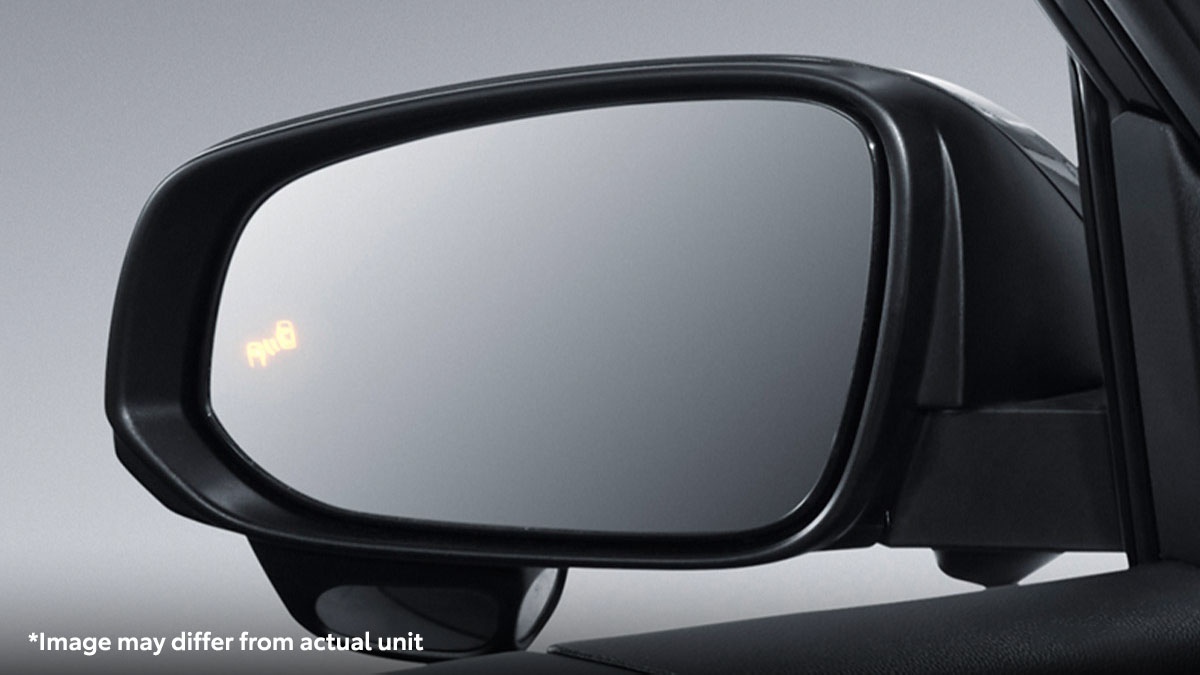 Blind Spot Monitor (BSM)