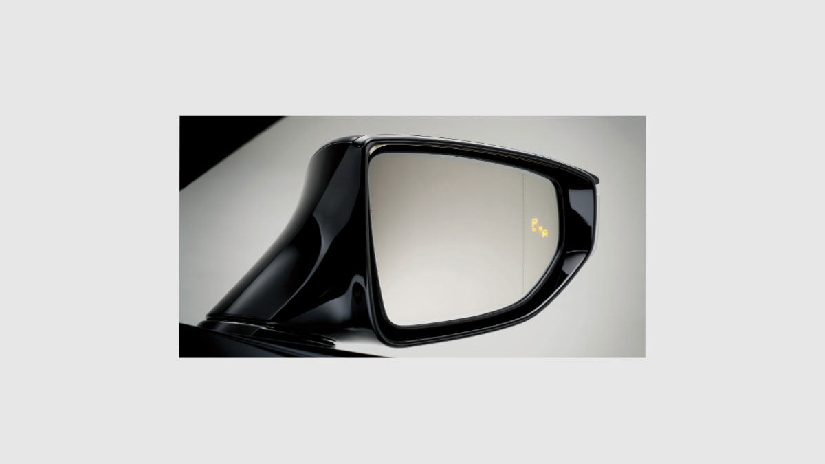 Blind Spot Monitoring