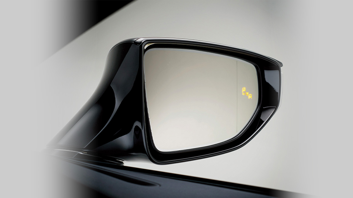 Blind Spot Monitoring