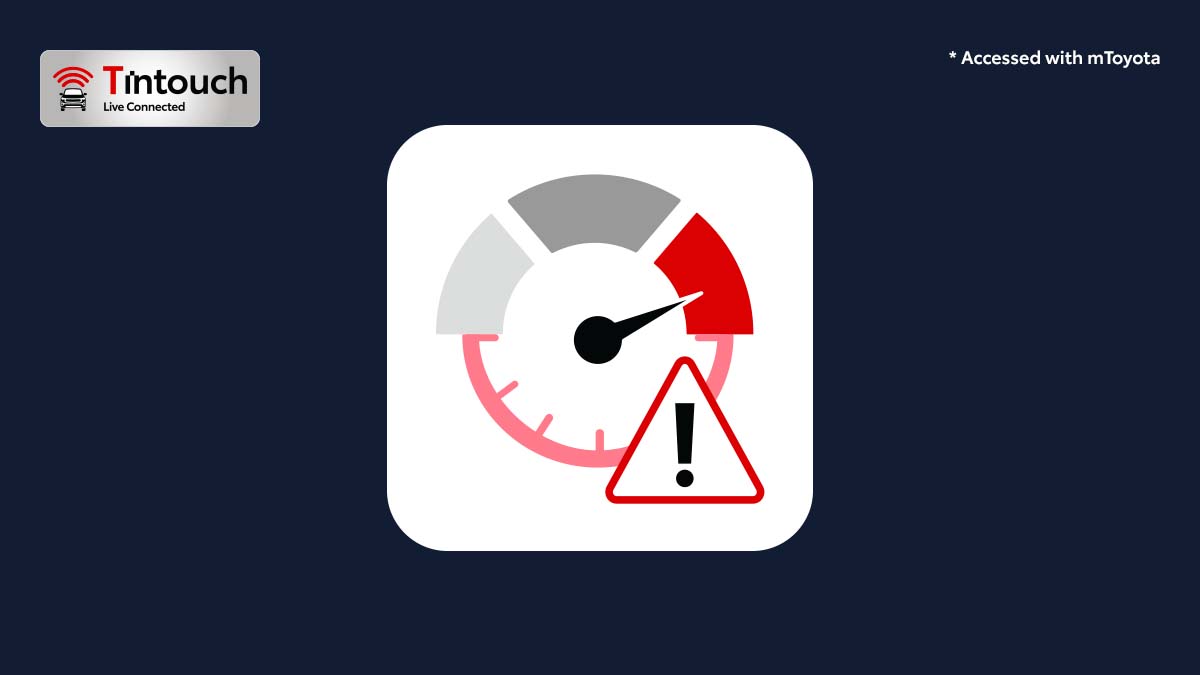 Speed & Idle Alert
